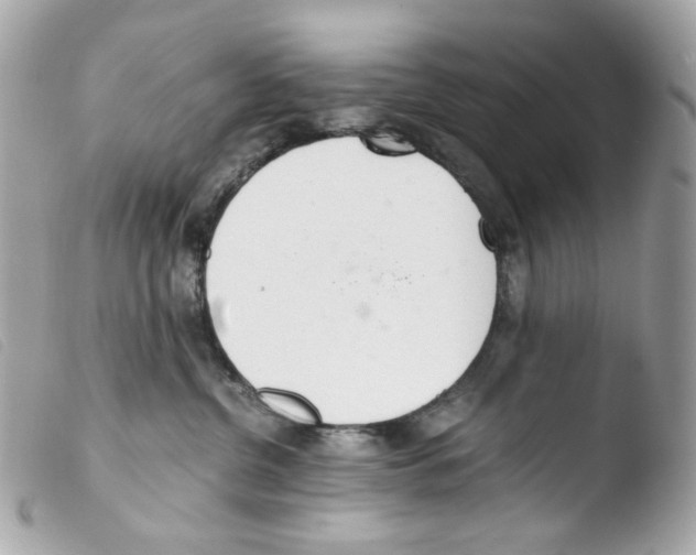 X0000103480380200810101005