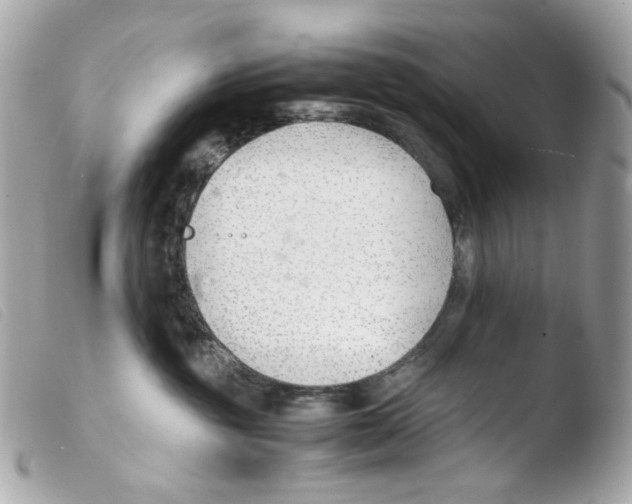X0000103480381200810101005