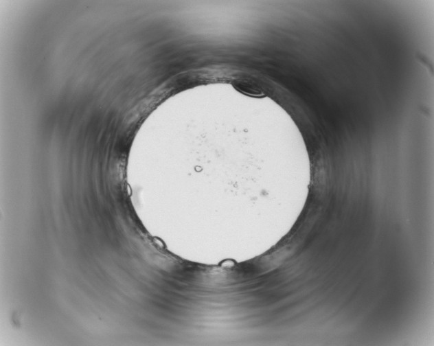 X0000103480382200810101005