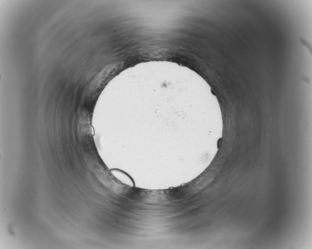 X0000103480384200810101005