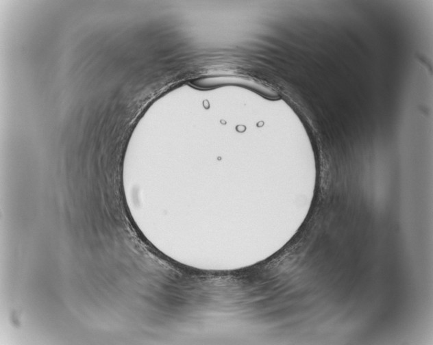 X0000103480385200810101004