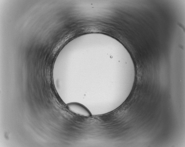 X0000103480386200810101004