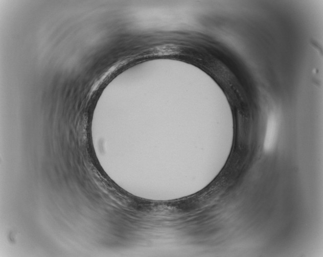 X0000103480387200810101004