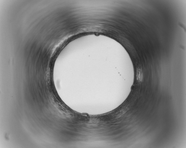 X0000103480388200810101004