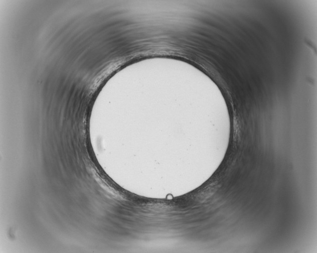 X0000103480389200810101004