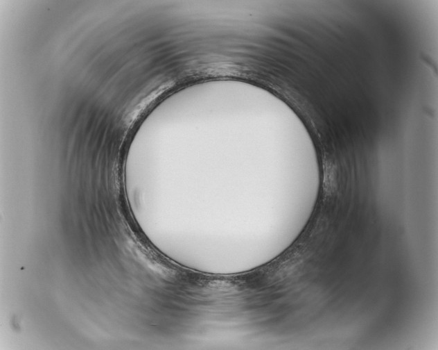 X0000103480390200810101004
