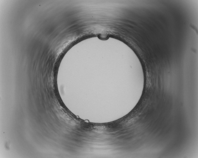 X0000103480391200810101004