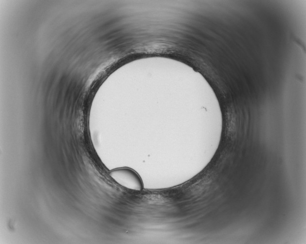 X0000103480392200810101004