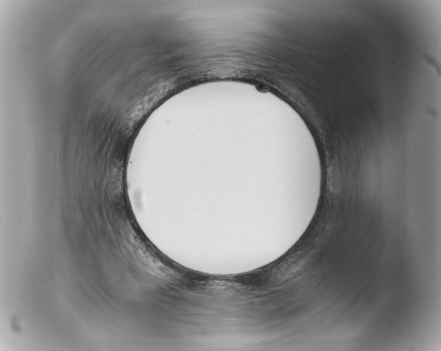 X0000103480393200810101004