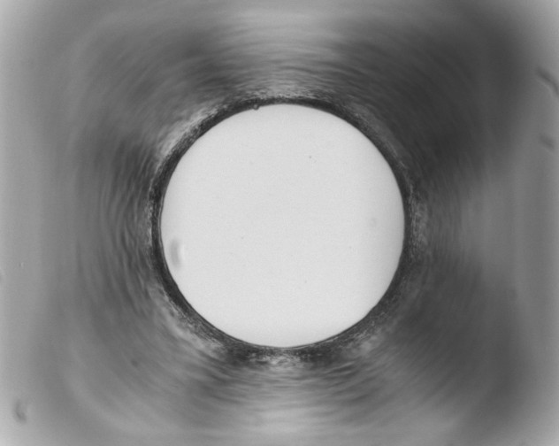 X0000103480395200810101004
