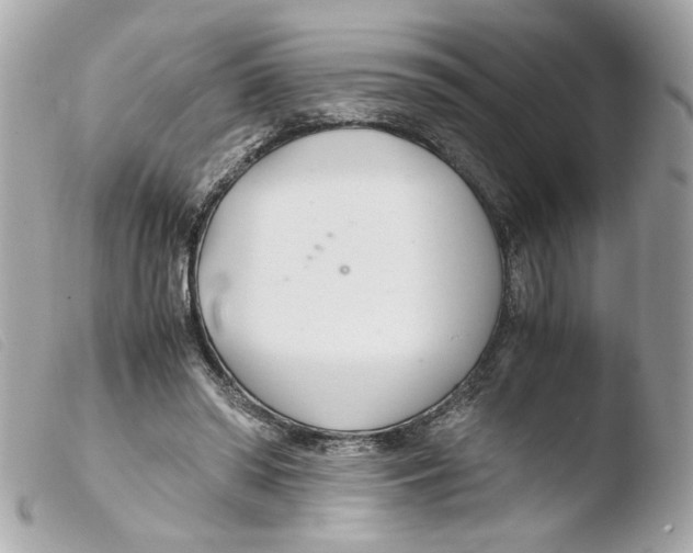 X0000103480398200810101004