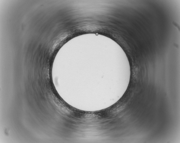 X0000103480399200810101004