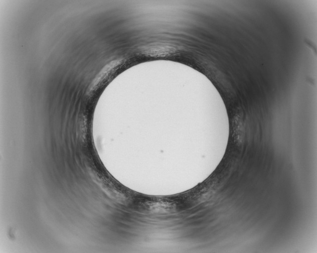X0000103480400200810101004