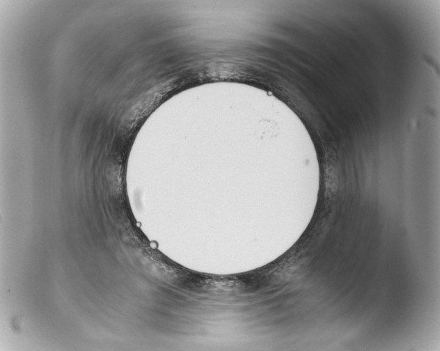 X0000103480401200810101004
