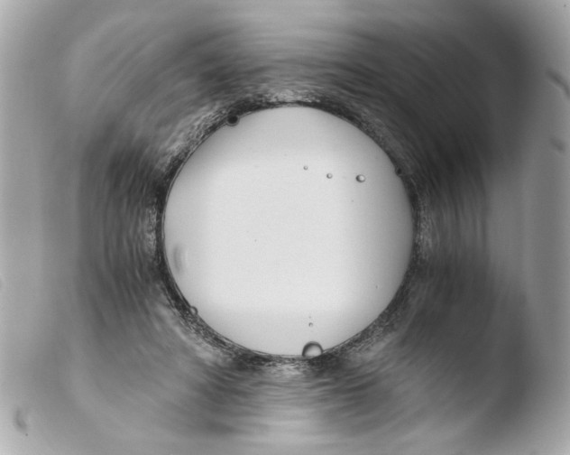 X0000103480402200810101004