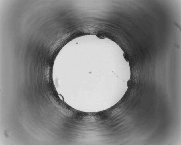 X0000103480404200810101004
