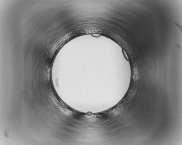 X0000103480405200810101004