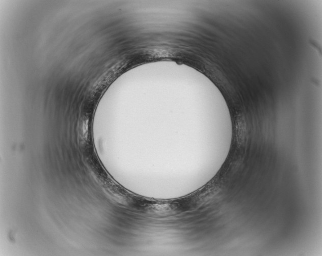 X0000103480406200810101004