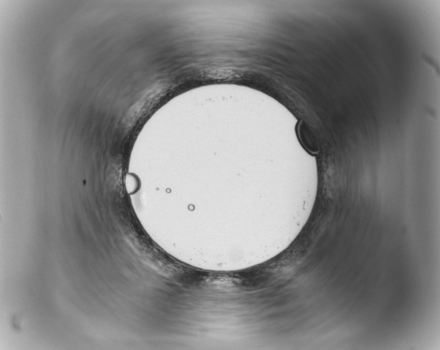 X0000103480407200810101004