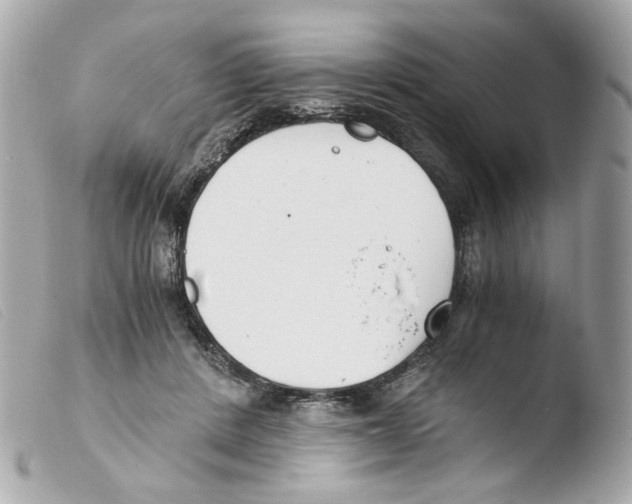 X0000103480408200810101004
