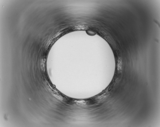 X0000103480409200810101004