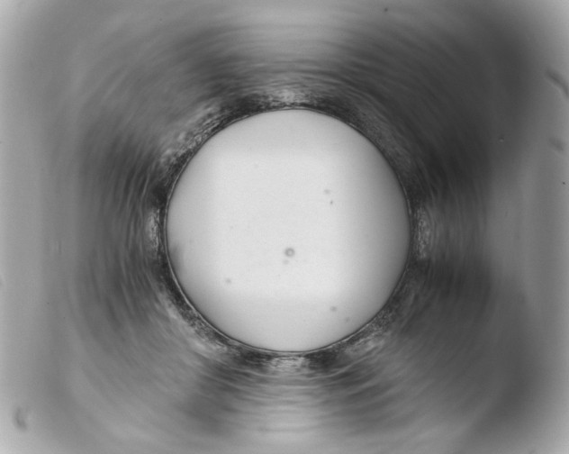 X0000103480410200810101004