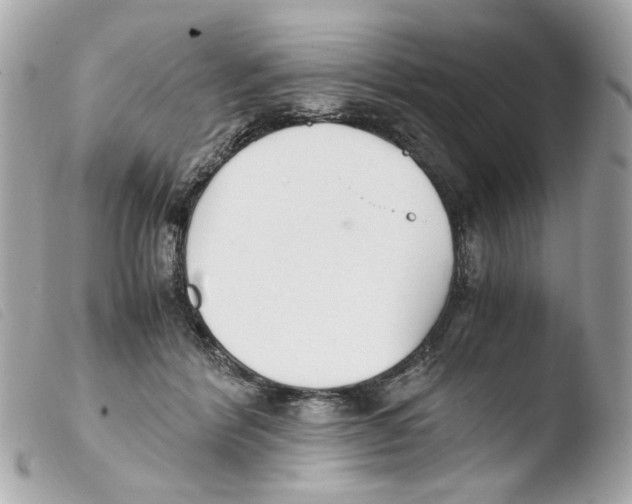 X0000103480412200810101004