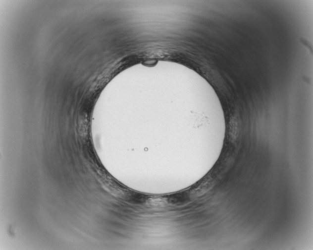 X0000103480413200810101004