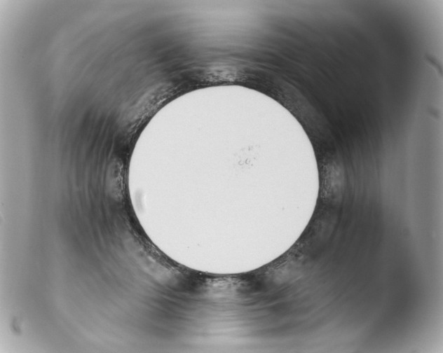 X0000103480414200810101004