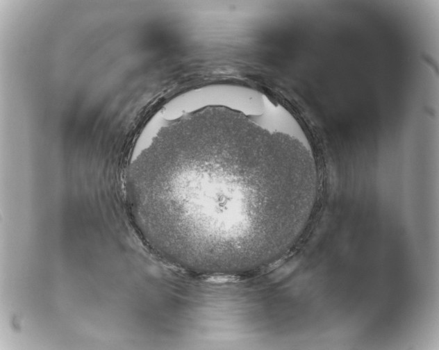 X0000103480415200810101004
