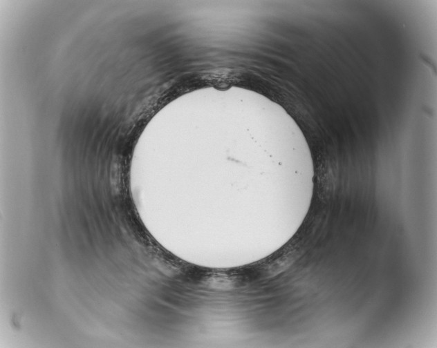 X0000103480416200810101004