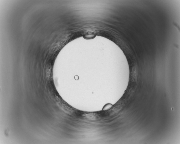 X0000103480417200810101004