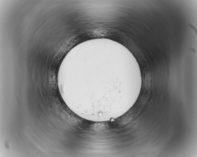 X0000103480418200810101004