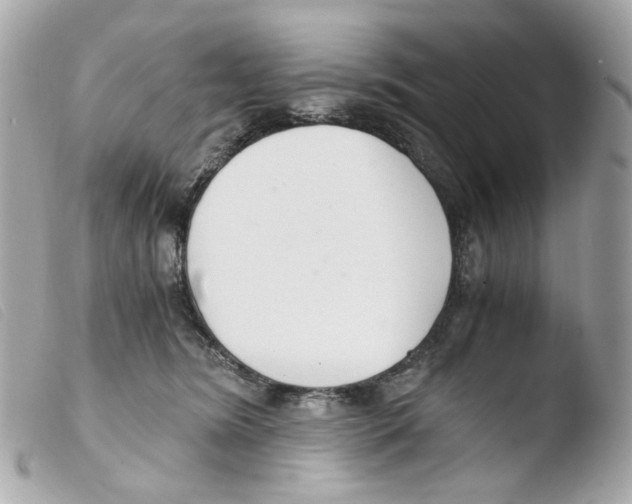 X0000103480420200810101004