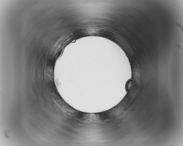 X0000103480421200810101004