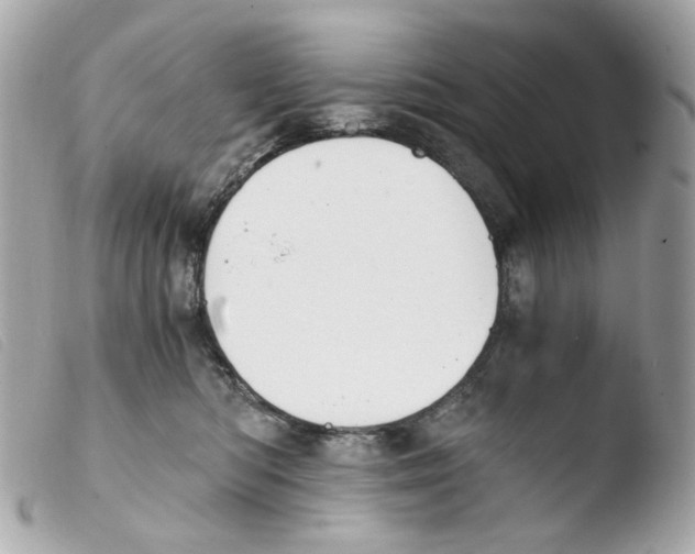 X0000103480422200810101004