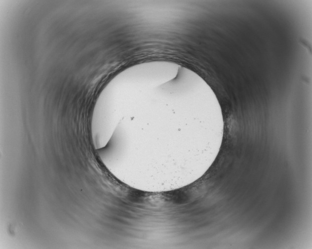 X0000103480423200810101004