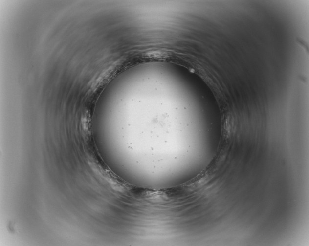 X0000103480424200810101004