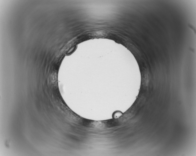 X0000103480425200810101004