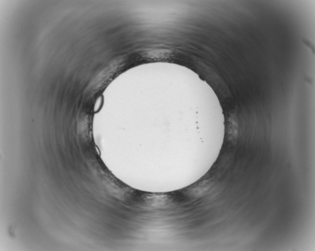 X0000103480428200810101004