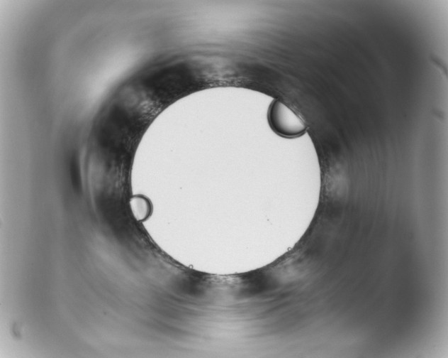 X0000103480429200810101004