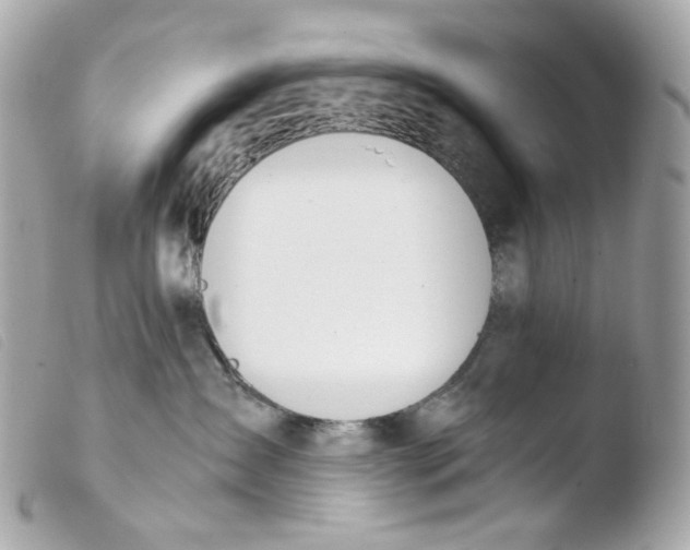 X0000103480431200810101004