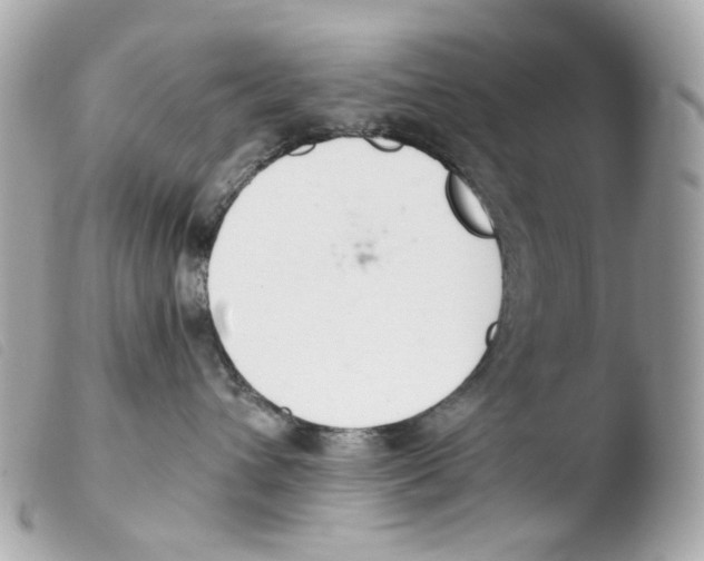 X0000103480432200810101004