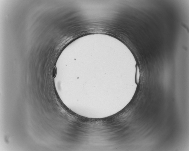 X0000103480433200810101003