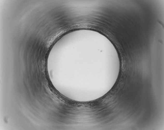 X0000103480434200810101003