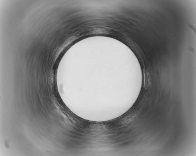 X0000103480435200810101003