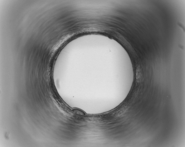 X0000103480436200810101003