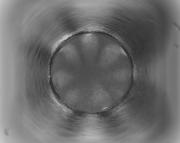 X0000103480438200810101003