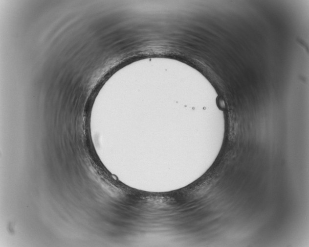 X0000103480439200810101003