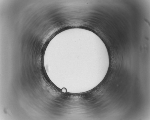 X0000103480440200810101003